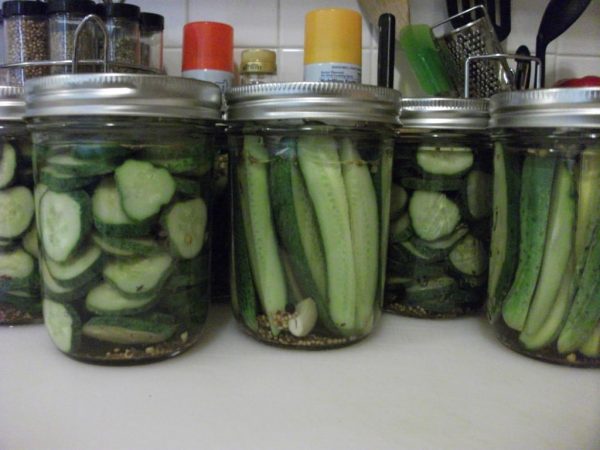 Grilled Cucumbers with Creamy Pickled Feta Dip - She Likes Food