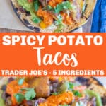 Trader Joe's 5 Series - Spicy Potato Tacos with Black Beans - She Likes ...