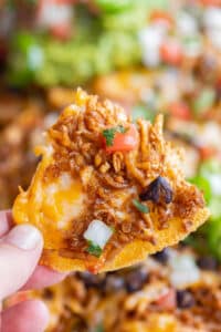 Vegetarian Shredded Tofu Nachos - She Likes Food