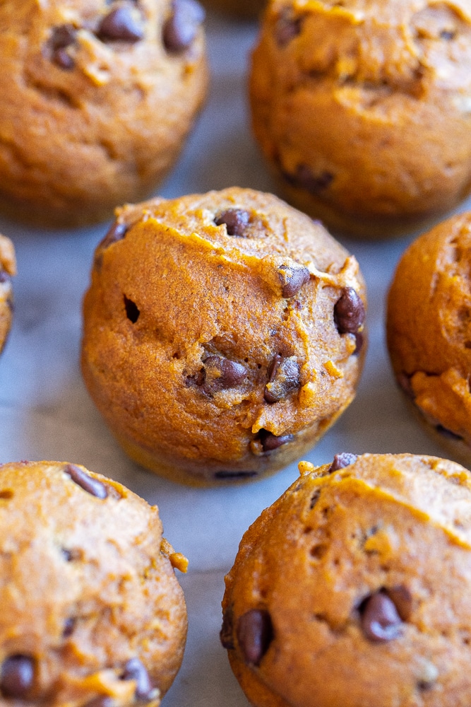 close up of a mini pumpkin chocolate chip muffin on a marble cutting board