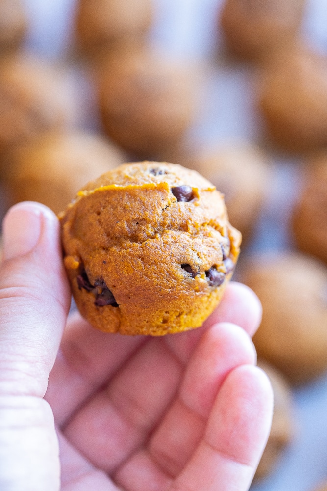 A hand holding a pumpkin mini muffin