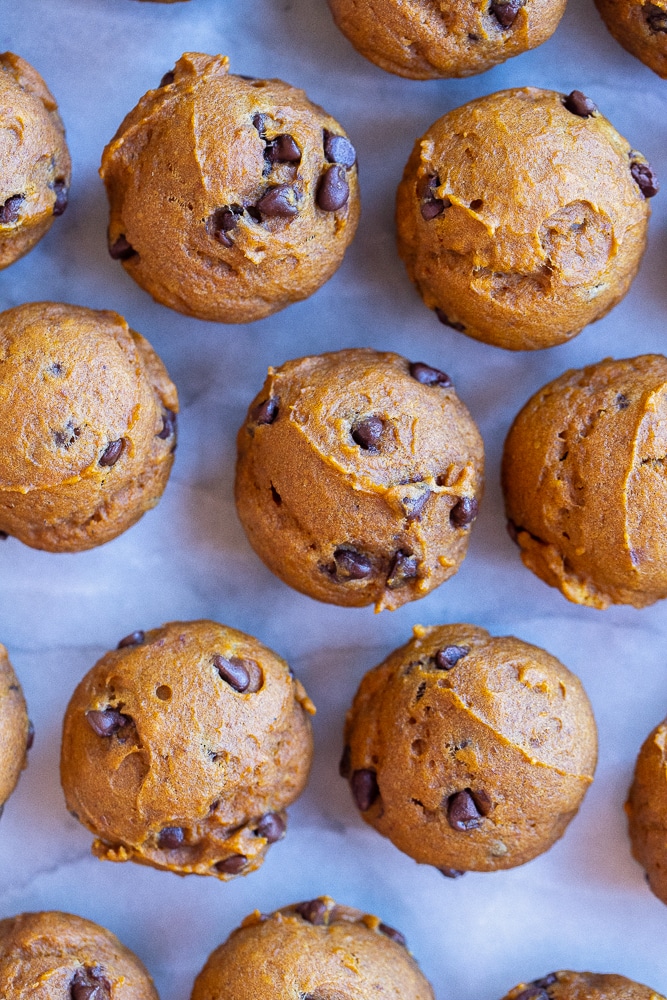 One Bowl Mini Pumpkin Chocolate Chip Muffins