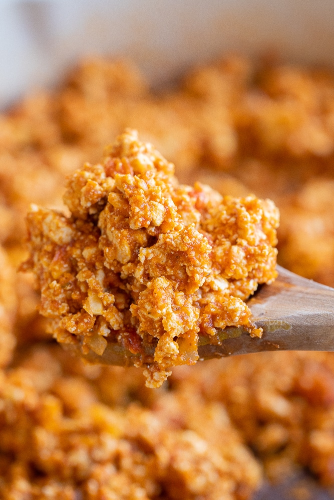 close up of plant based pumpkin sloppy joe mixture on a spoon